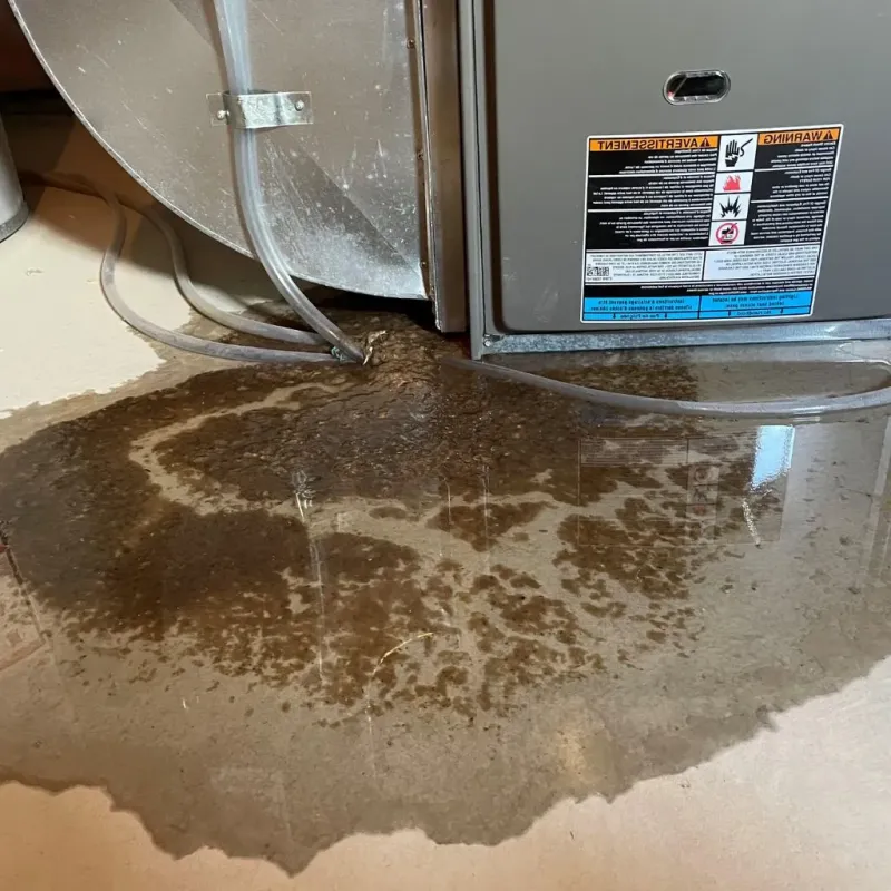 Pipe Burst and Leak Restoration in Betances, PR